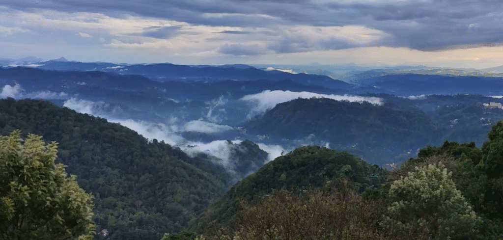 Chinnakanal and Lockhart Gap Viewpoints