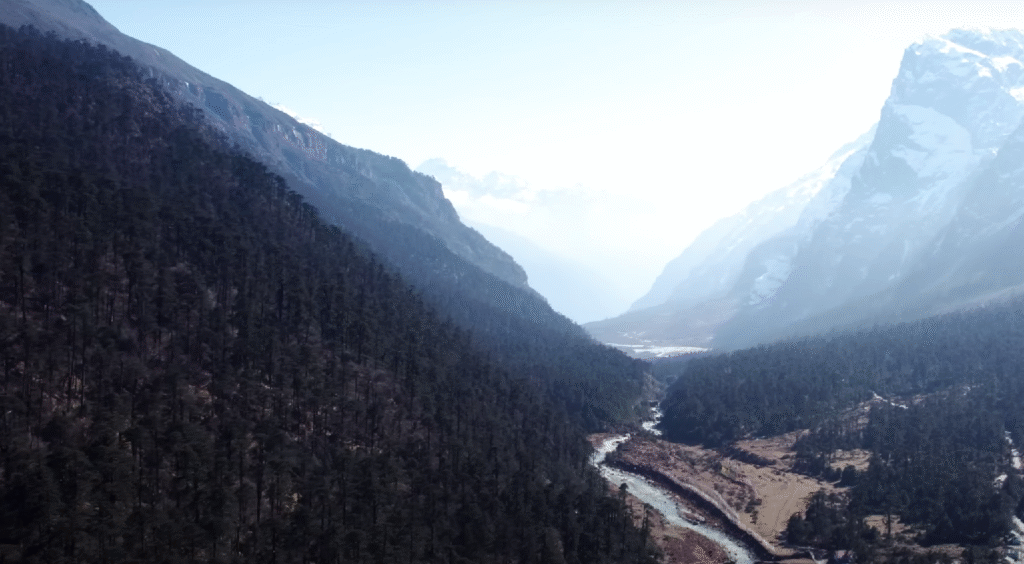 Coorg coffee plantation hills in summer