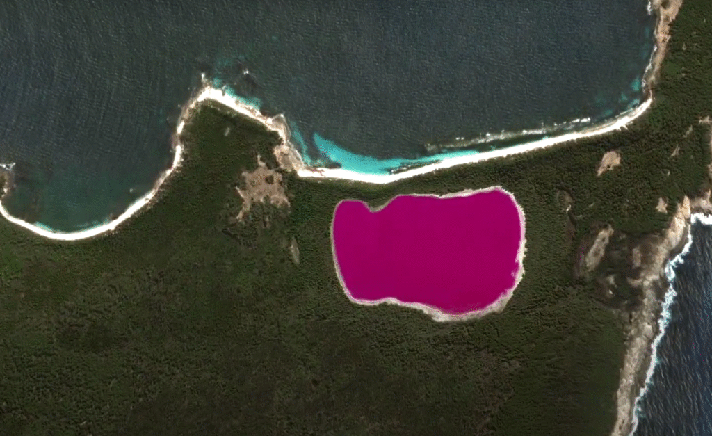 Lake Hillier pink lake in Western Australia