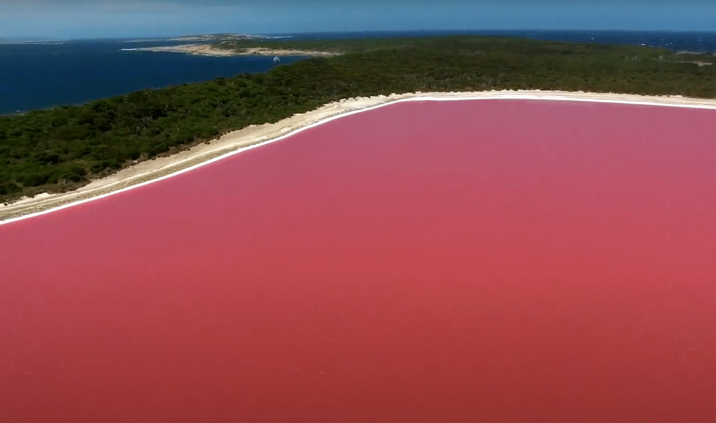 Lake Hillier pink lake aerial view