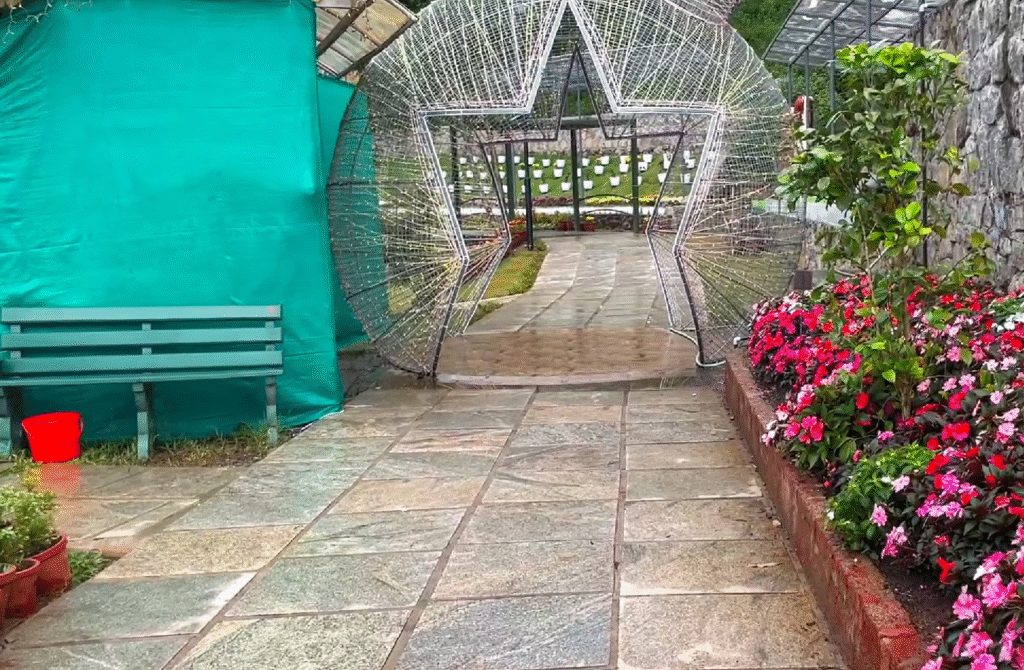 Munnar Flower Garden