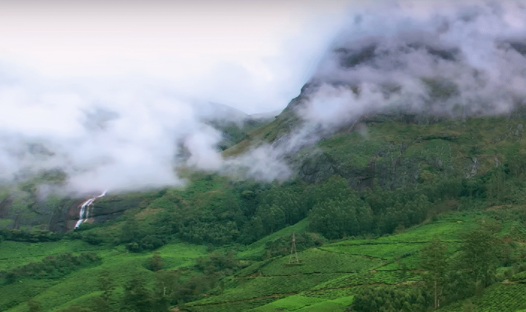 Coorg coffee plantation hills in summer