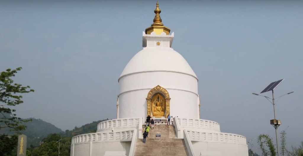 Tea gardens in Darjeeling India