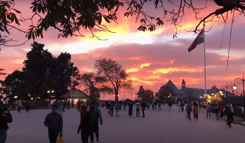 Coorg coffee plantation hills in summer