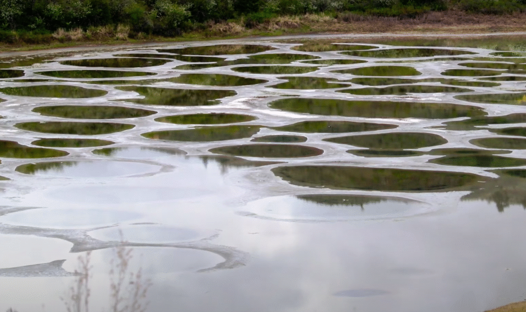 Spotted Lake in British Columbia, Canada