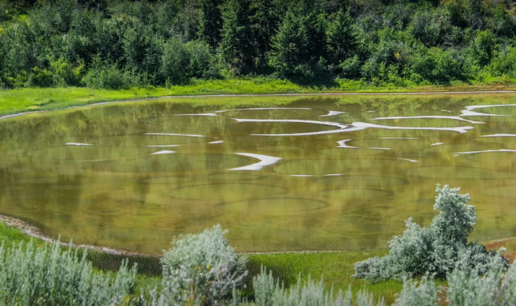 Polka dot lake in Osoyoos BC